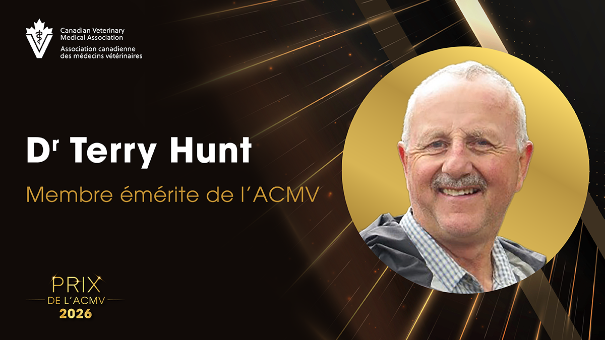 Dr Terry Hunt