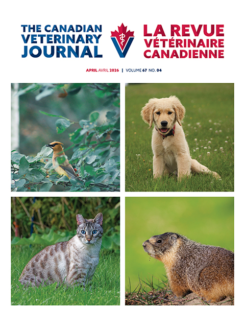 avril 2026, Vol. 67, No. 4