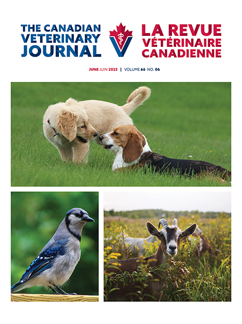 juin 2025, Vol. 66, No. 6