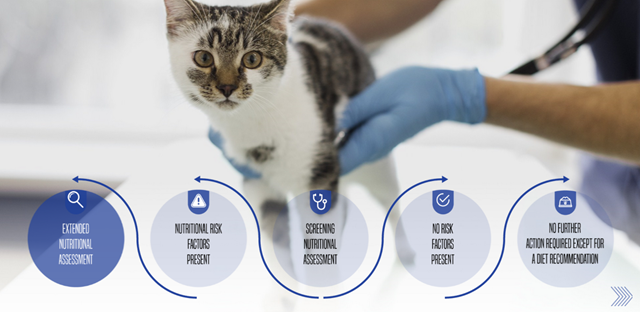WSAVA Nutrition Module