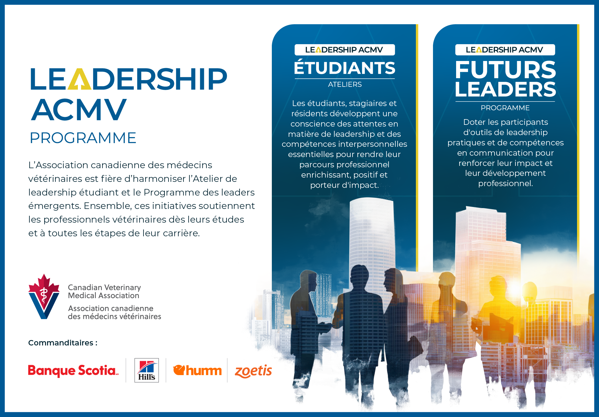 CVMA Leadership Program