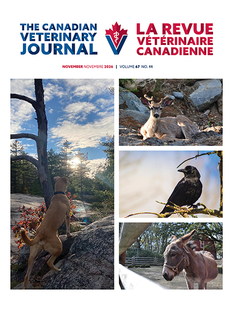 Novembre 2026, Vol. 67, No. 11