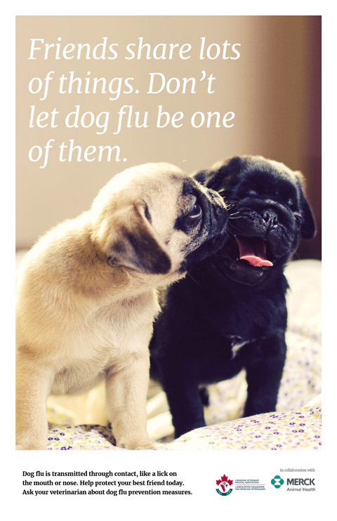 Poster: Friends share lots of things. Don’t let dog flu be one of them.