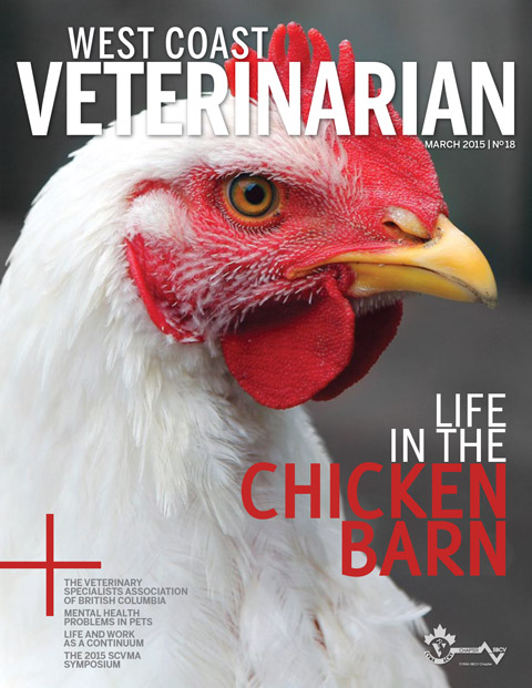 Spring 2015 Cover