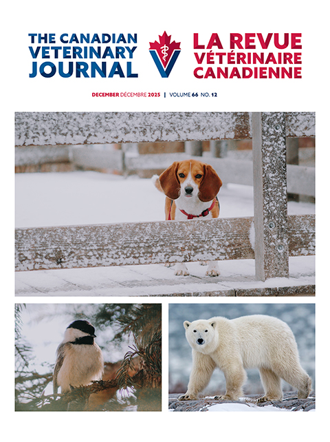 decembre 2025, Vol. 66, No. 12