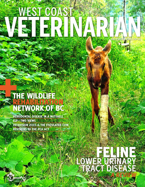 Winter 2015 Cover