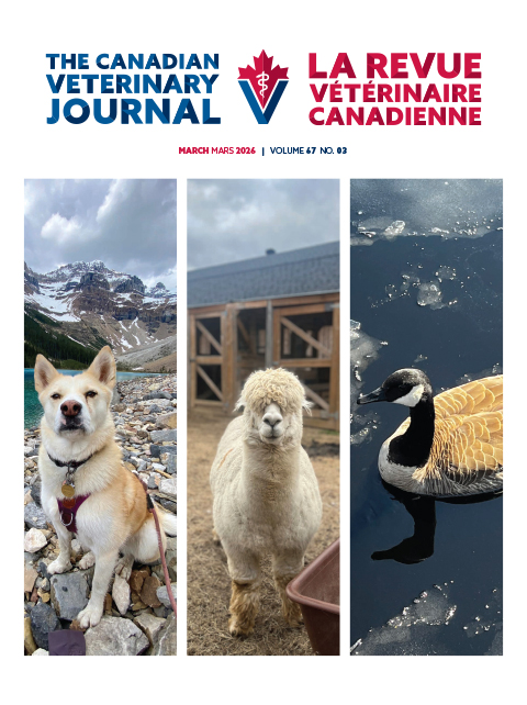 mars 2026, Vol. 67, No. 3