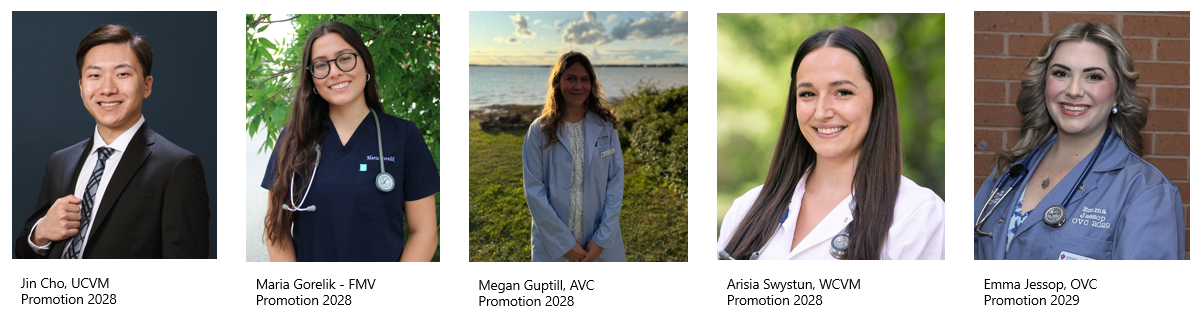 2025-2026 SCVMA Junior Reps