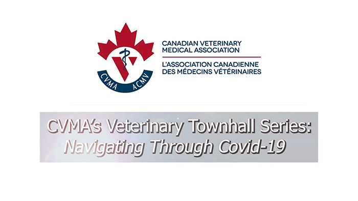 CVMA’s Veterinary Townhall Series – Navigating through COVID-19 Screenshot