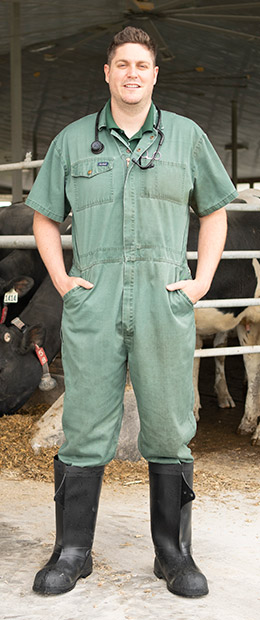 Livestock Vet