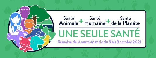 Semaine de la santé animale de 2021