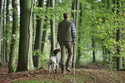 Man walking with dog in the woods