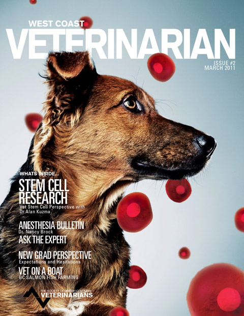 Spring 2011 Cover