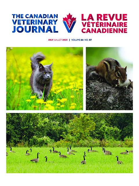 juillet 2025, Vol. 66, No. 7