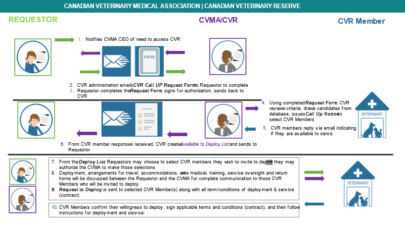 CVR Process Graphic