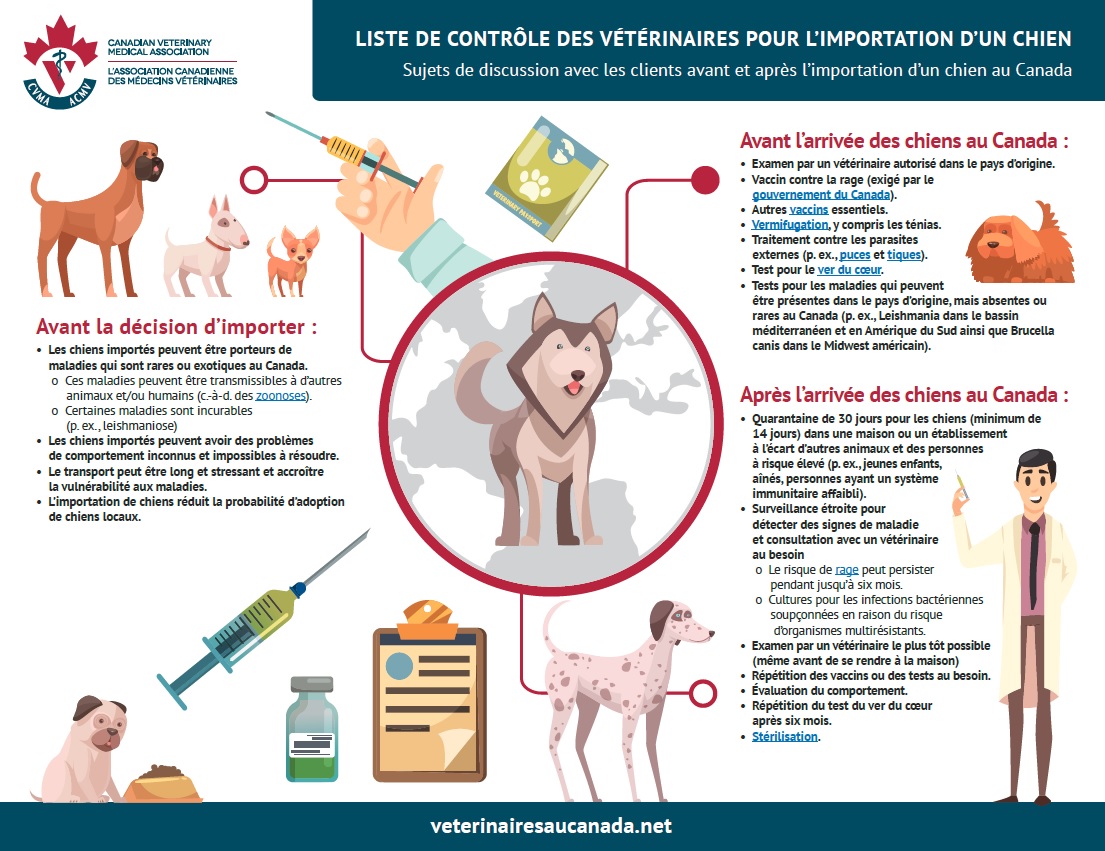 Importation de chiens