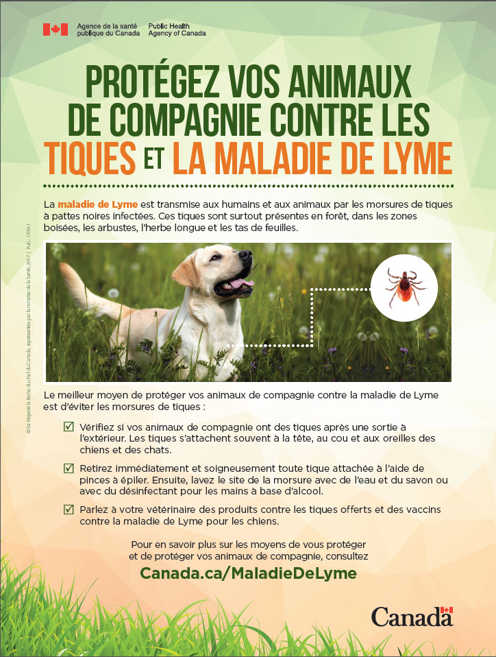 Lyme Disease poster