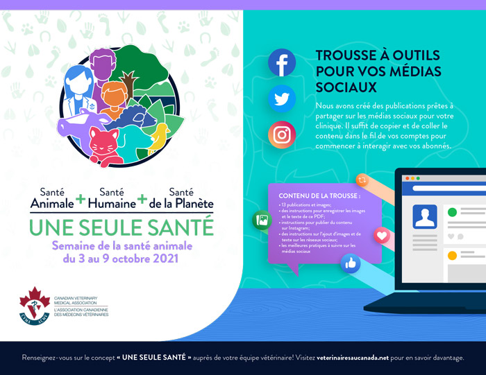 Trousse à outils pour vos médias sociaux