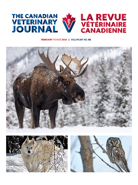 février 2026, Vol. 67, No. 2