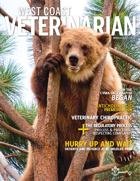 Spring 2013 Cover