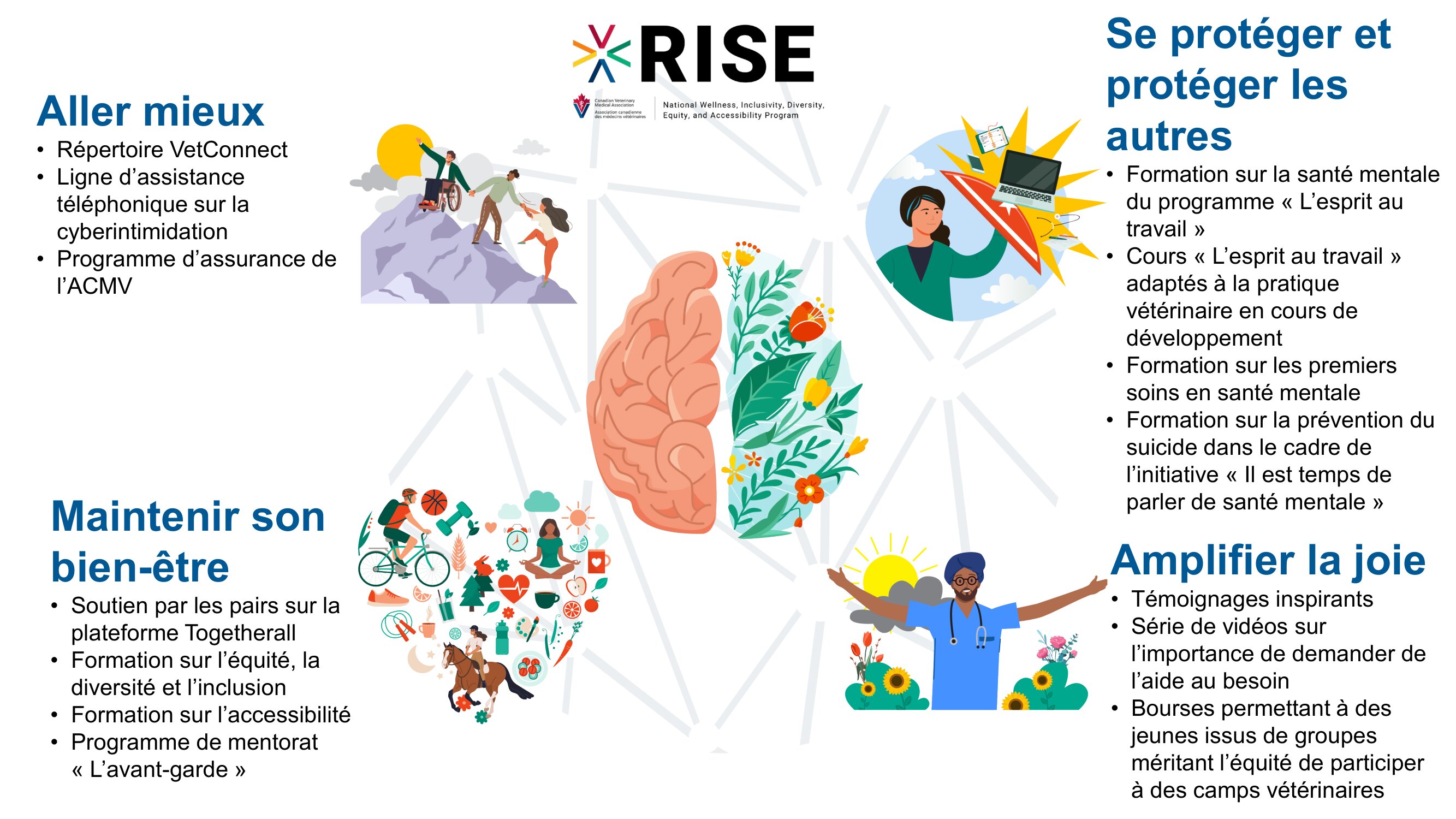 Rise Program