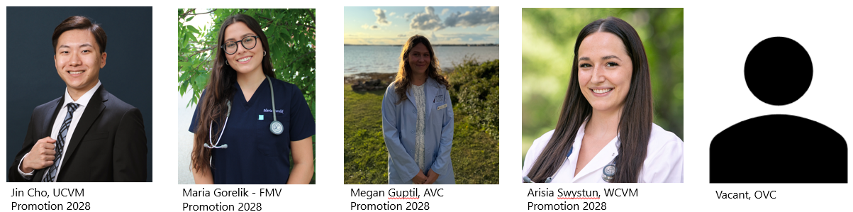 2025-2026 SCVMA Junior Reps