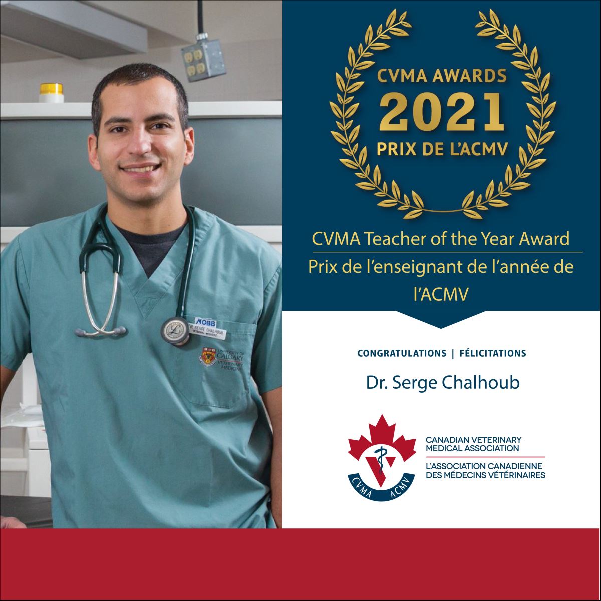 Dr. Serge Chalhoub