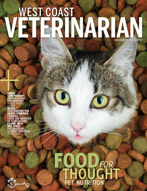 Winter 2014 Cover