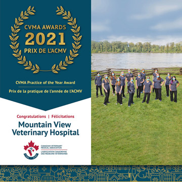 Mountain View Veterinary Hospital