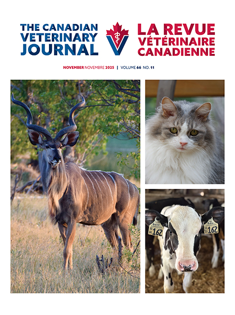 novembre 2025, Vol.66, No.11